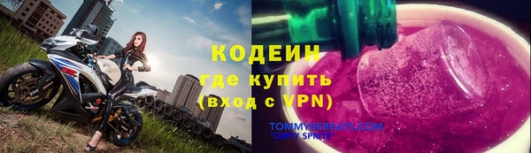 тгк Каменногорск