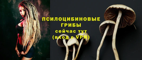 apvp Каменка