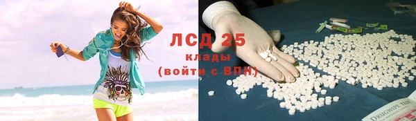 тгк Каменногорск