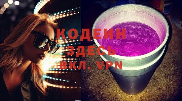 apvp Каменка