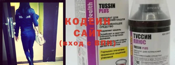 тгк Каменногорск