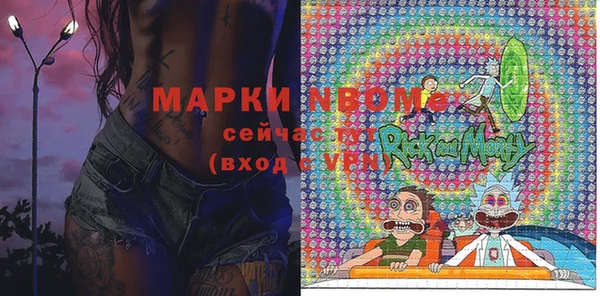 apvp Каменка