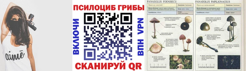 Галлюциногенные грибы GOLDEN TEACHER  кракен как зайти  Кашира 
